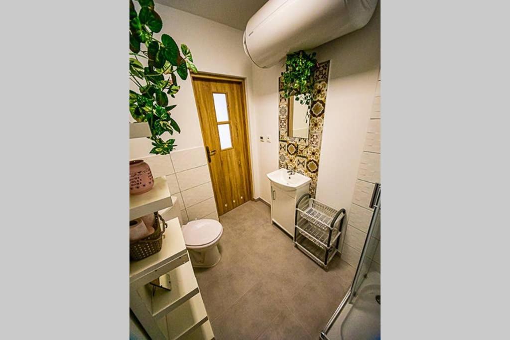 Apartament Rynek Lesna  Ngoại thất bức ảnh
